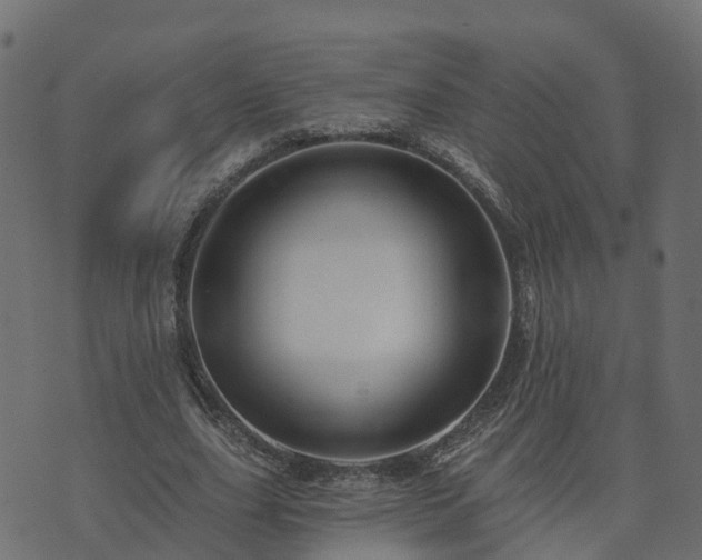 X0000073910631200608181025