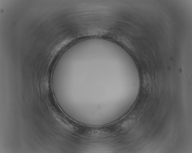 X0000073910632200608181025