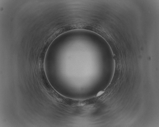 X0000073910647200608181025