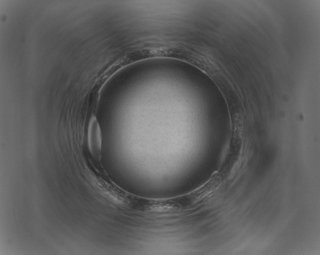 X0000073910650200608181025