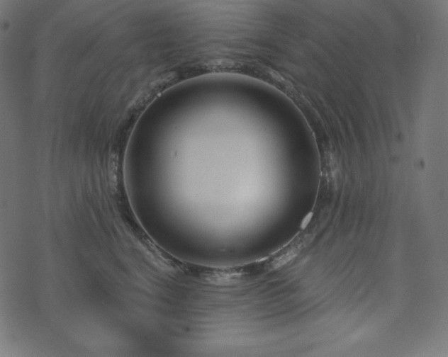 X0000073910664200608181025