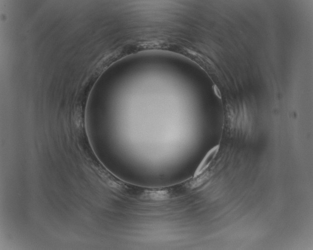 X0000073910665200608181025