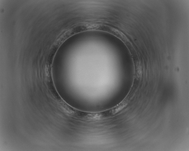 X0000073910667200608181025
