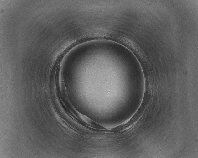 X0000073910677200608181024