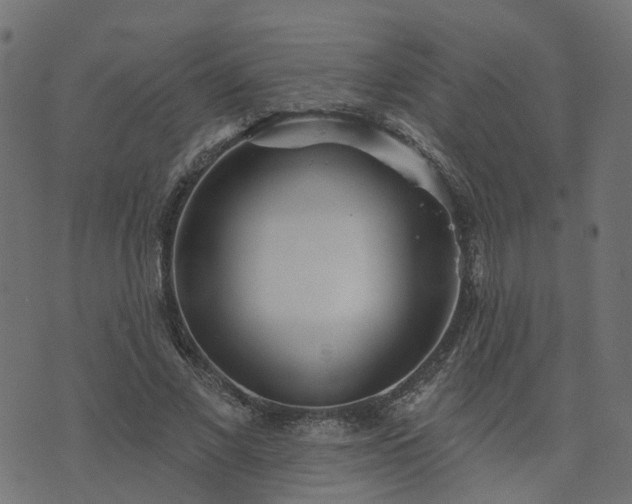 X0000073910685200608181024