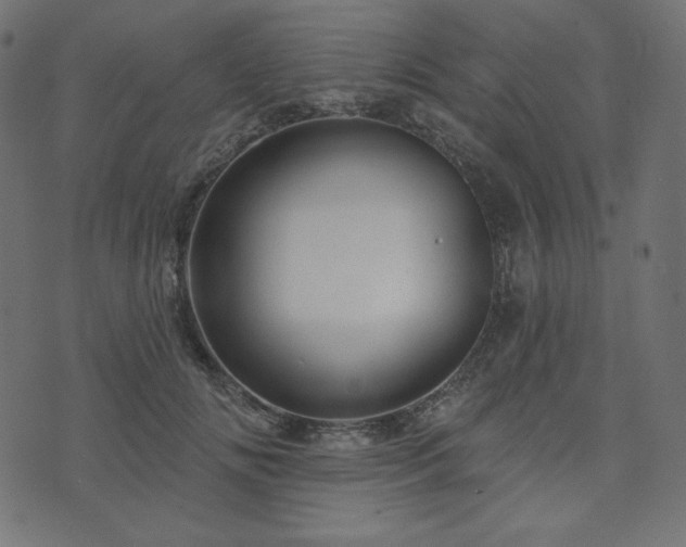 X0000073910702200608181024
