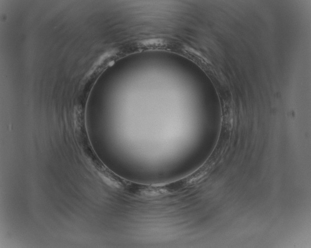 X0000073910712200608181024