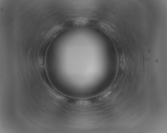 X0000073910714200608181024