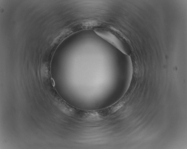 X0000073910715200608181024