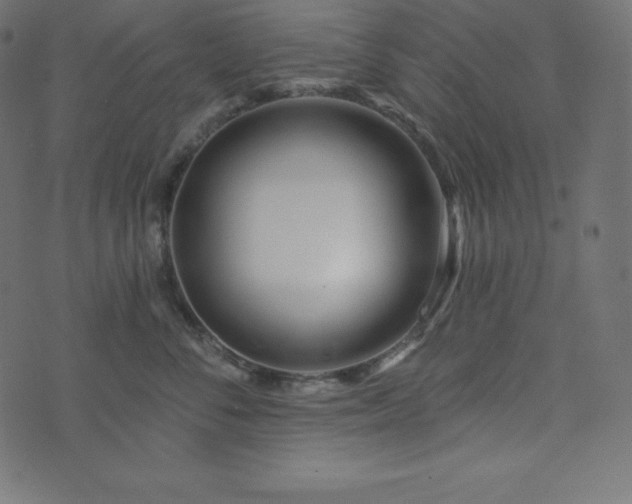 X0000073910716200608181024