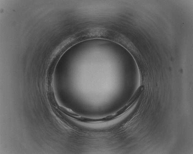 X0000073910722200608181023