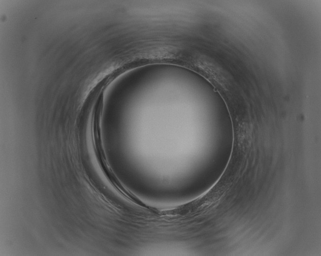 X0000073910727200608181023