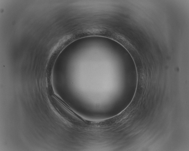 X0000073910734200608181023