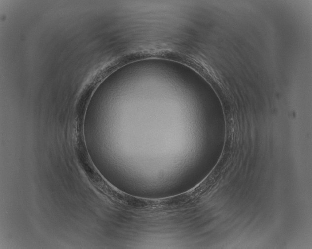 X0000073910736200608181023