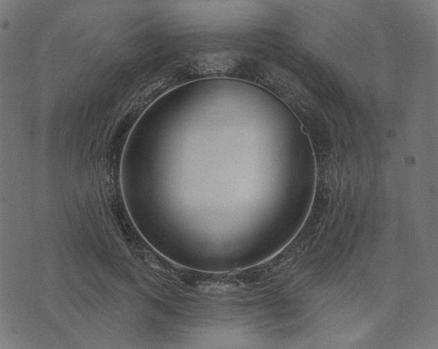 X0000073910743200608181023