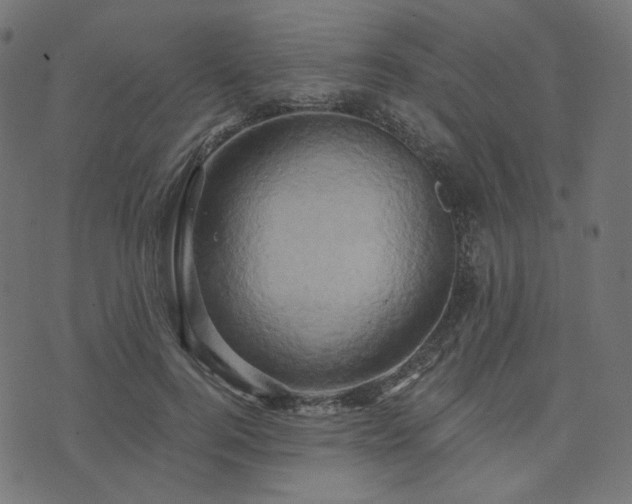 X0000073910744200608181023
