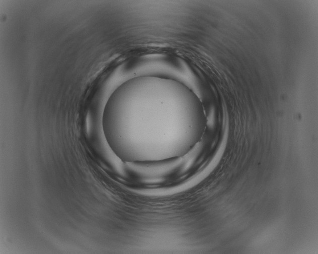 X0000073910750200608181023