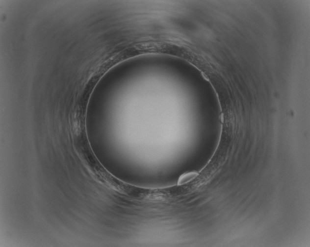 X0000073910751200608181023
