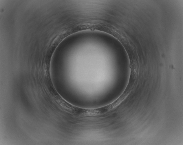 X0000073910758200608181024