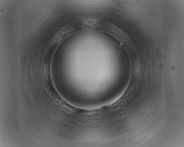 X0000073910759200608181024