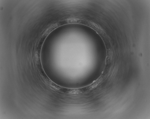 X0000073910761200608181024