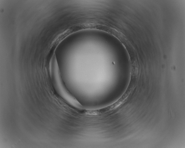 X0000073910762200608181024
