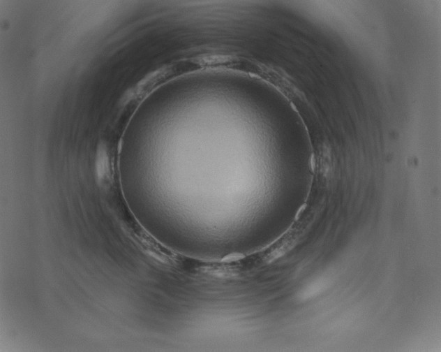 X0000073910763200608181024