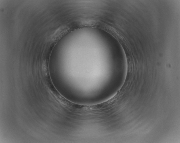 X0000073910764200608181024