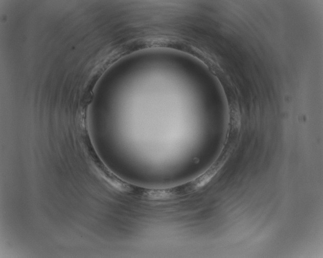 X0000073910766200608181024
