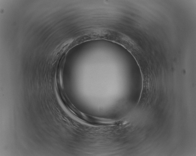 X0000073910773200608181023
