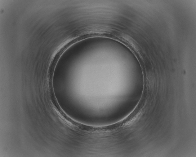 X0000073910779200608181023