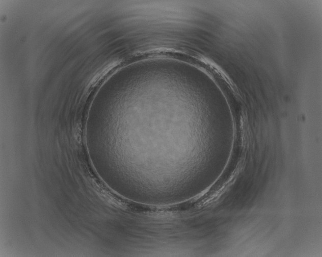 X0000073910785200608181023
