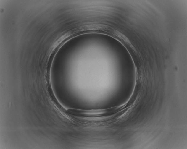 X0000073910786200608181023