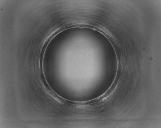 X0000073910790200608181023