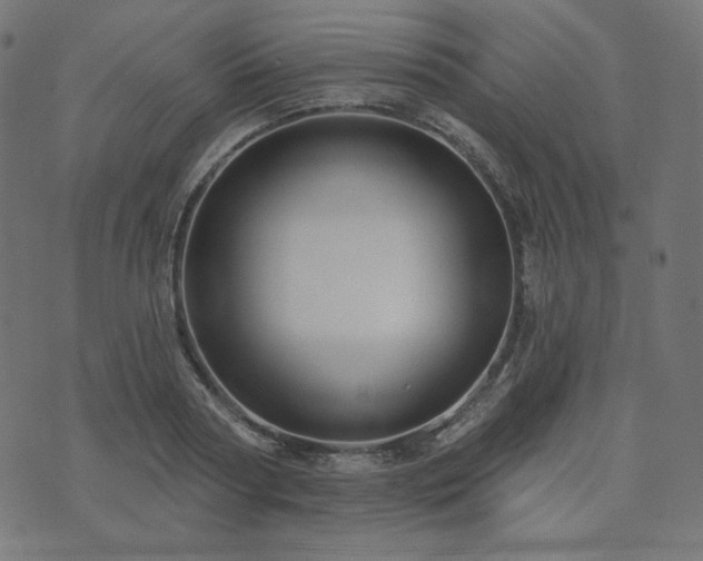 X0000073910794200608181023
