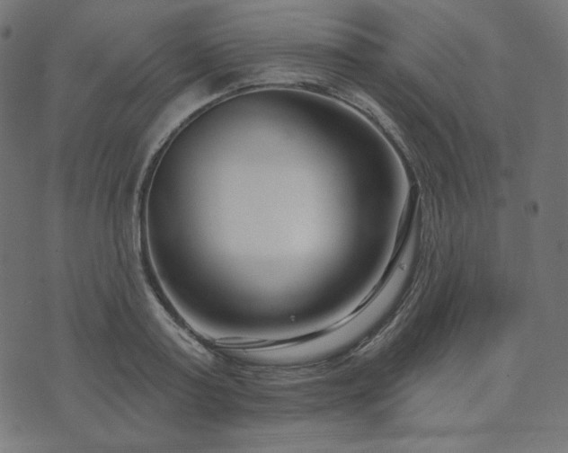 X0000073910795200608181023