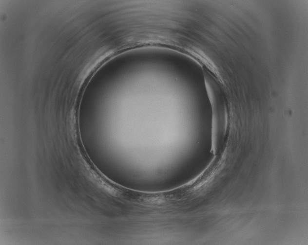 X0000073910798200608181022