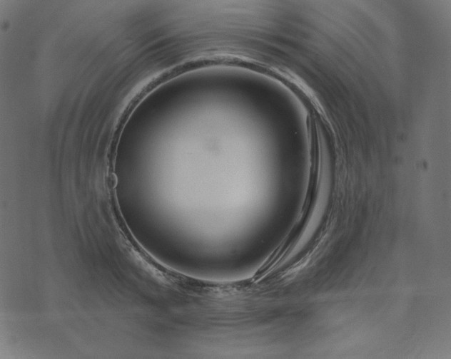 X0000073910799200608181022