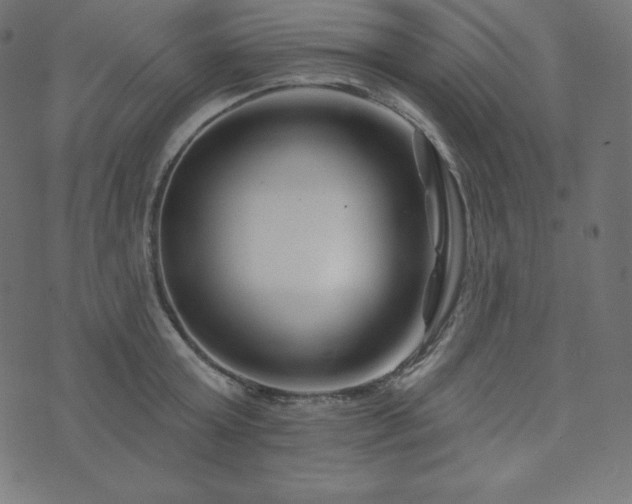 X0000073910803200608181022