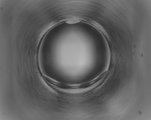 X0000073910805200608181022