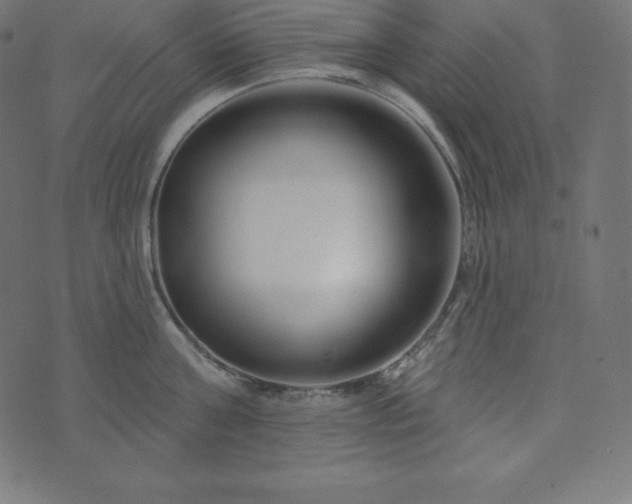 X0000073910811200608181022