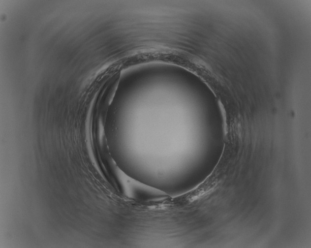 X0000073910822200608181022
