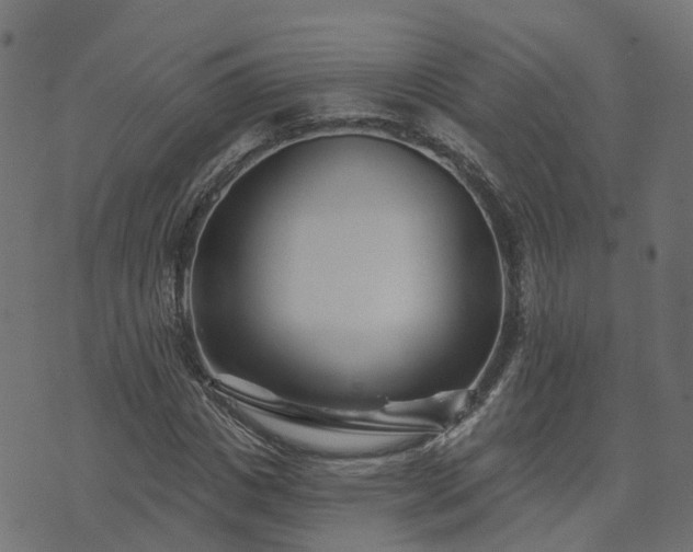 X0000073910825200608181022