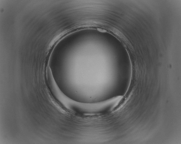 X0000073910842200608181022