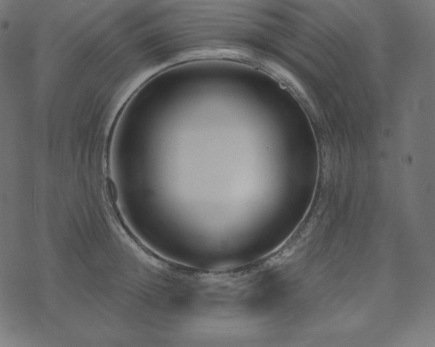 X0000073910852200608181022