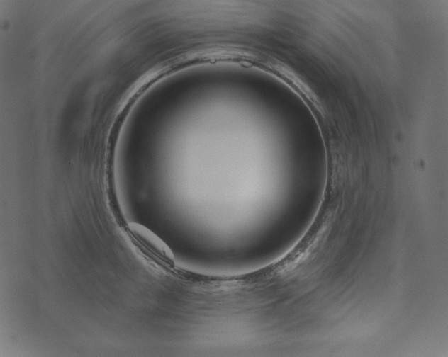 X0000073910853200608181022