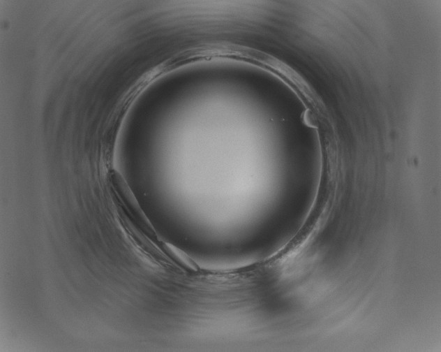 X0000073910857200608181022