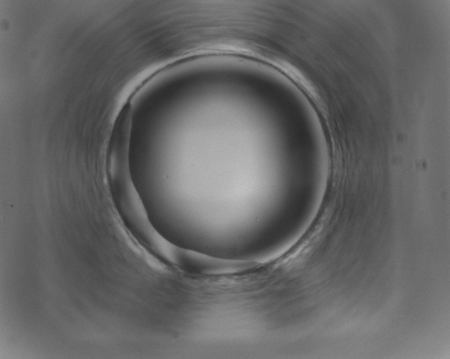 X0000073910862200608181022