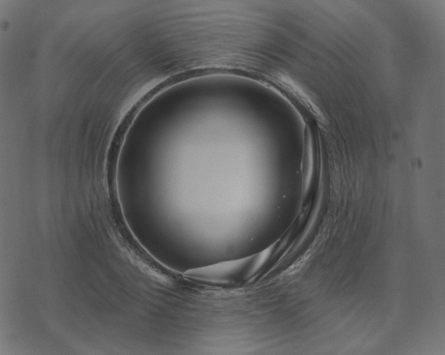 X0000073910884200608181021