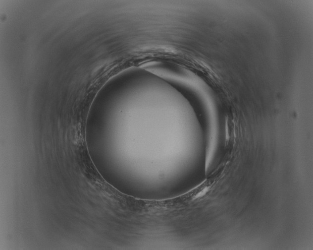 X0000073910965200608181020